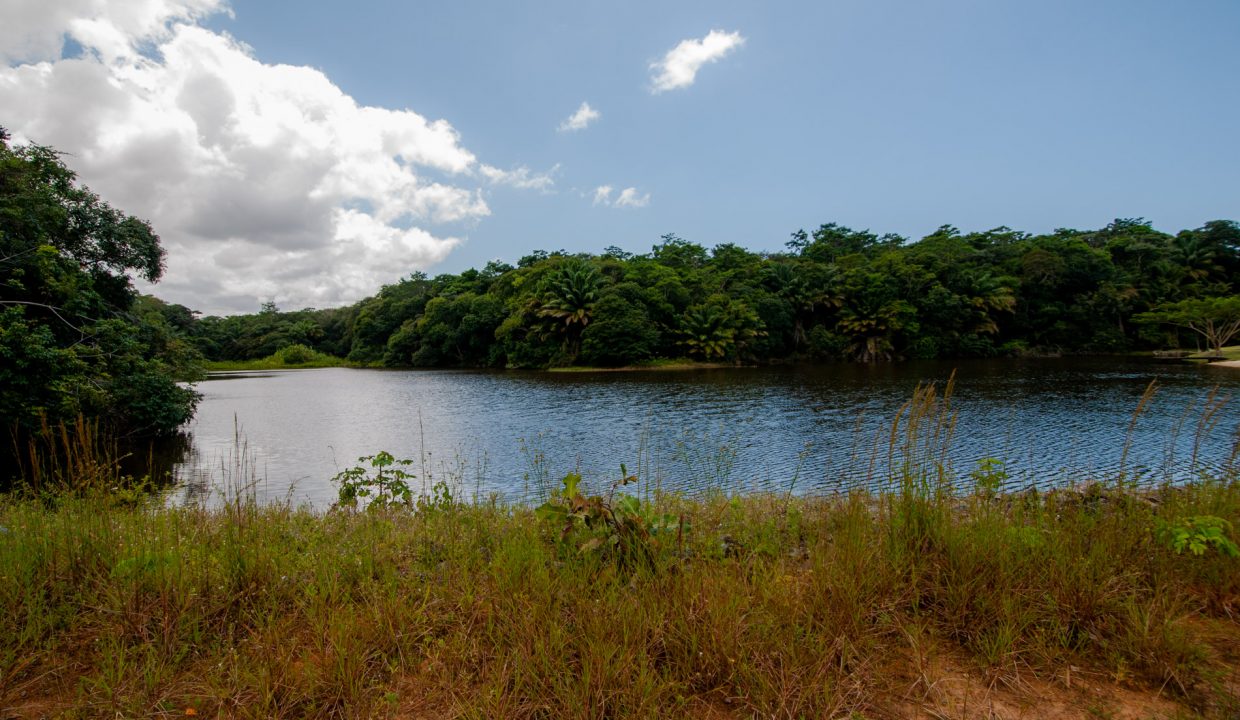 Terreno com vista para lagoa a venda no condomínio Encontro das Águas (3)