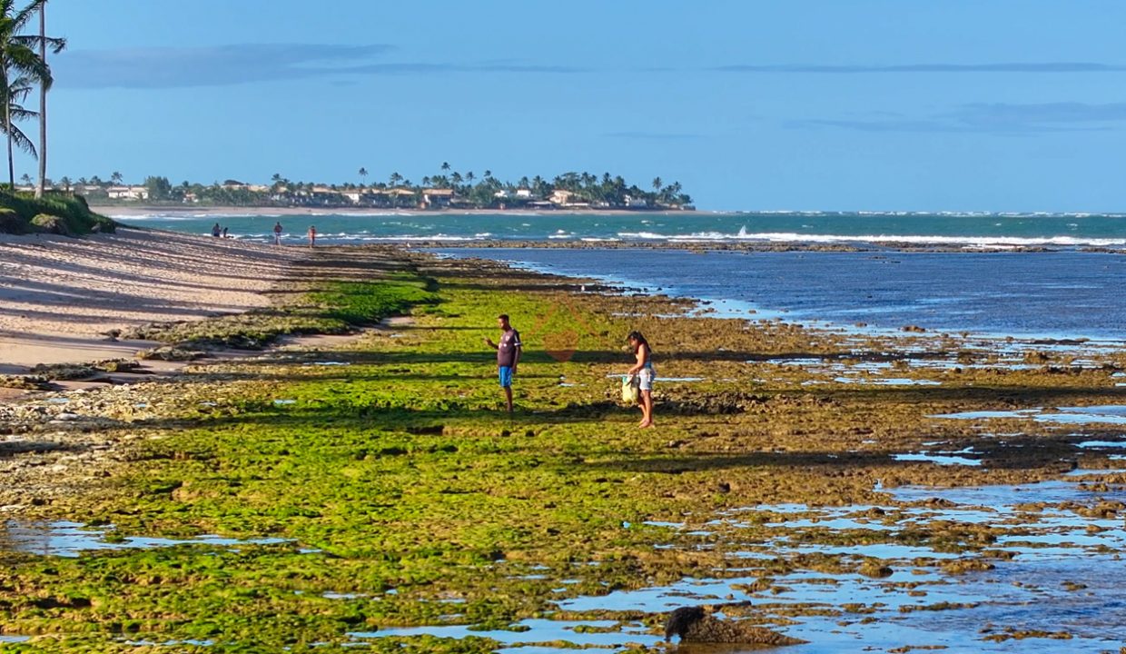 Mansão com quadra de beach tênis frente mar em Guarajuba-42-4